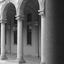 Attivita': consulenza contratti, separazioni, divorzi, recupero crediti...